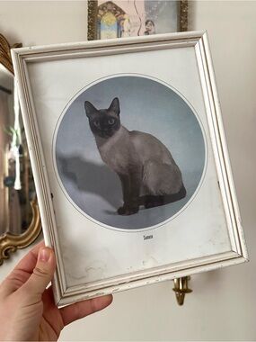 Vintage Wood Framed Siamese Cat Decor 8x10